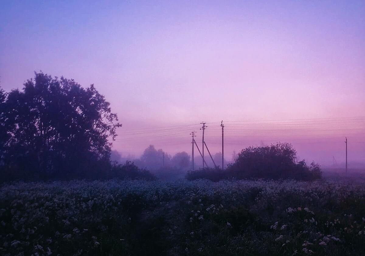 九游官网：一次发现游戏世界的全新之旅